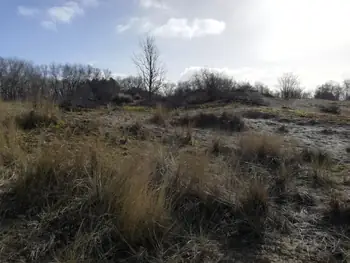 De Panne (België)